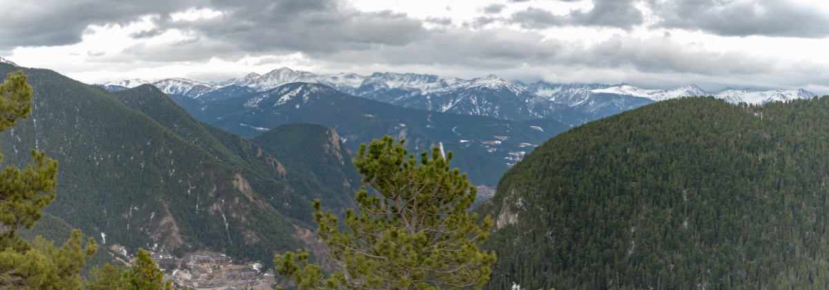 תחזית מזג אוויר לארינסל